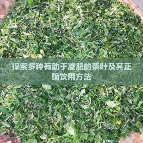 探索多種有助于減肥的茶葉及其正確飲用方法