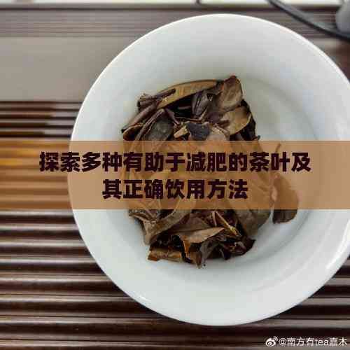 探索多種有助于減肥的茶葉及其正確飲用方法