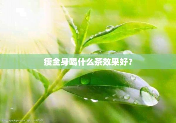 瘦全身喝什么茶效果好？