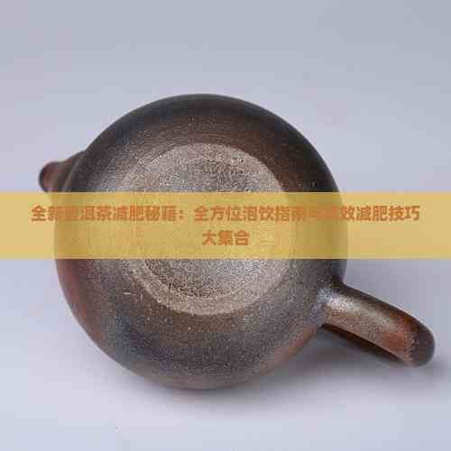 全新普洱茶减肥秘籍：全方位泡饮指南与高效减肥技巧大 