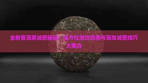 全新普洱茶减肥秘籍：全方位泡饮指南与高效减肥技巧大 