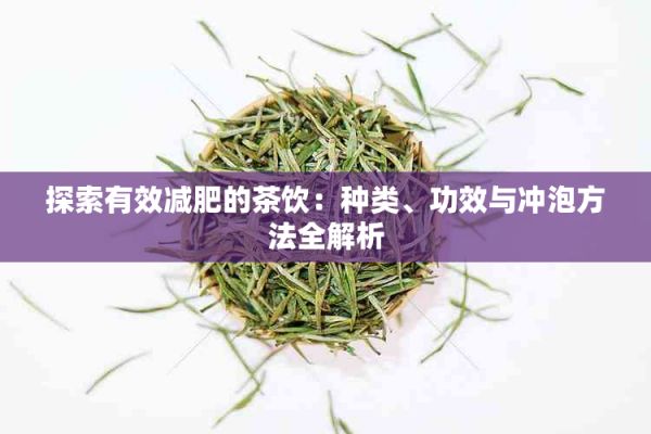 探索有效減肥的茶飲：種類、功效與沖泡方法全解析