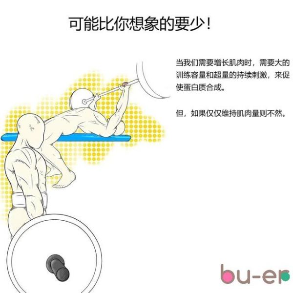 如何维持肌肉量?