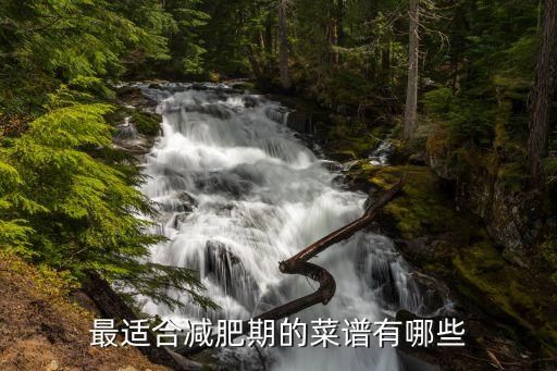 最适合减肥期的菜谱有哪些