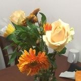 花喜鹊
