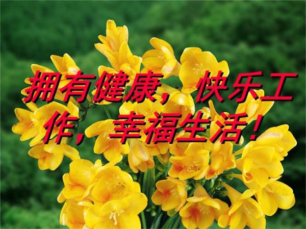 生活常識：如何保持健康和幸福