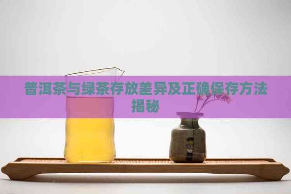 普洱茶與綠茶存放差異及正確保存方法揭秘