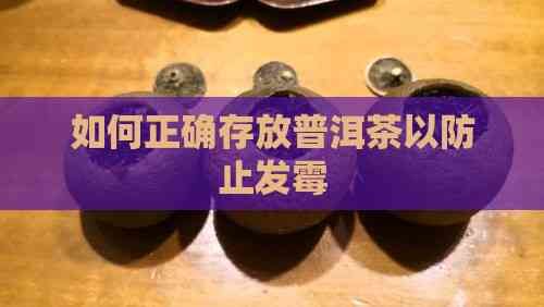 如何正確存放普洱茶以防止發(fā)霉