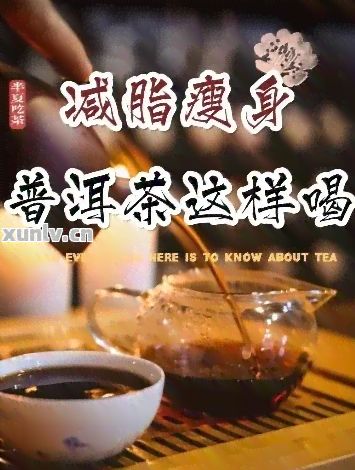 普洱茶瘦身貼的效果與科學依據(jù)：探索自然療法的減肥秘密
