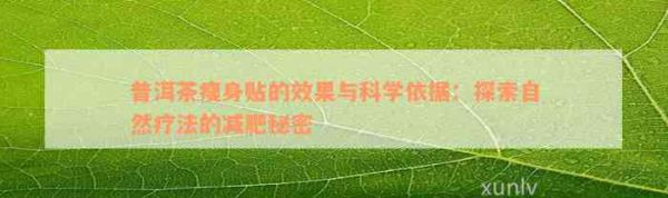 普洱茶瘦身貼的效果與科學依據(jù)：探索自然療法的減肥秘密
