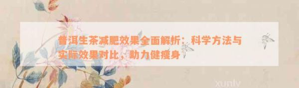 普洱生茶減肥效果全面解析：科學方法與實際效果對比，助力健瘦身