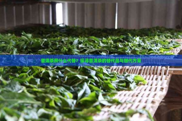 普洱茶用什么代替？探尋普洱茶的替代品與替代方案