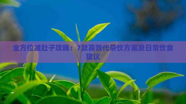 全方位減肚子攻略：7款高效代茶飲方案及日常飲食建議