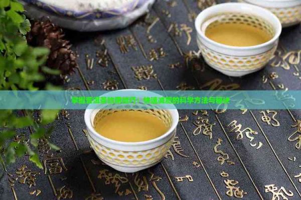 掌握普洱茶饮用技巧：快速减肥的科学方法与秘诀