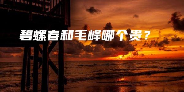 碧螺春和毛峰哪個貴？插圖