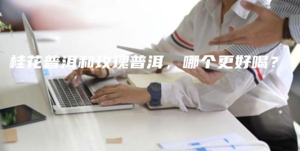桂花普洱和玫瑰普洱，哪個更好喝？插圖