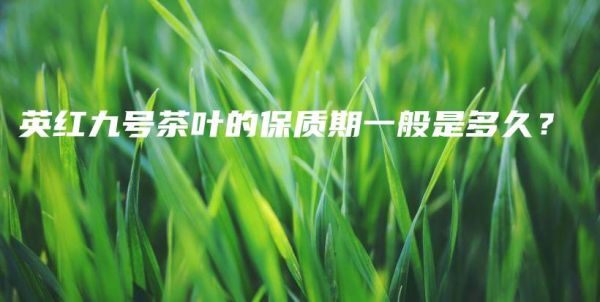 英紅九號(hào)茶葉的保質(zhì)期一般是多久？插圖