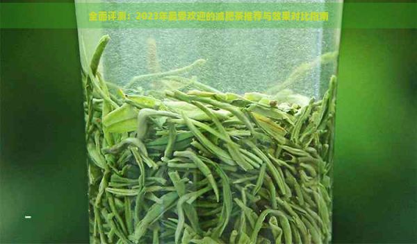 全面評(píng)測(cè)：2023年更受歡迎的減肥茶推薦與效果對(duì)比指南