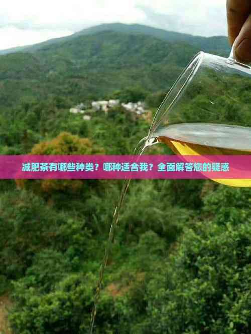 減肥茶有哪些種類？哪種適合我？全面解答您的疑惑