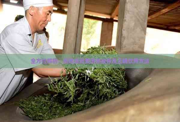 全方位解析：高效減肥普洱茶推薦及正確飲用方法