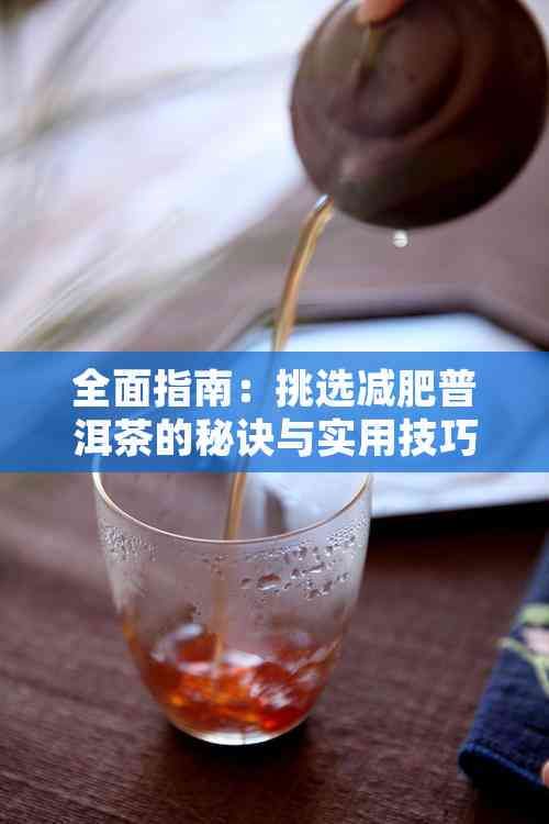 全面指南：挑選減肥普洱茶的秘訣與實用技巧
