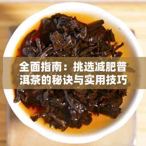 全面指南：挑選減肥普洱茶的秘訣與實用技巧