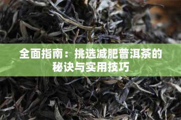 全面指南：挑選減肥普洱茶的秘訣與實用技巧