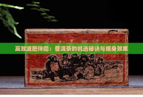 高效減肥伴侶：普洱茶的挑選秘訣與瘦身效果