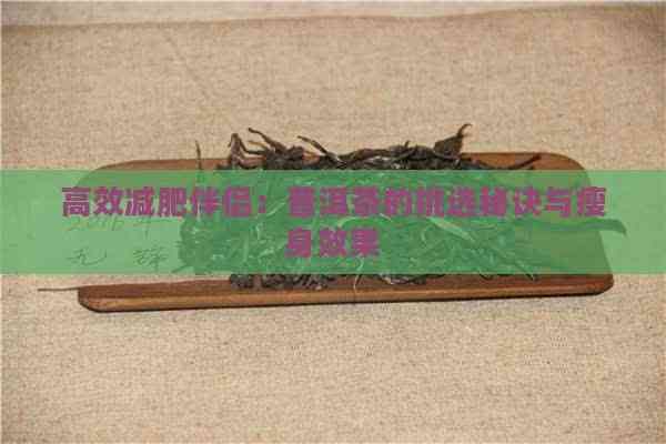 高效減肥伴侶：普洱茶的挑選秘訣與瘦身效果