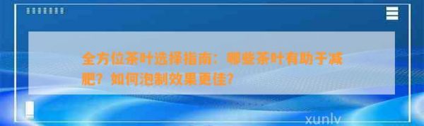 全方位茶叶选择指南：哪些茶叶有助于减肥？如何泡制效果更佳？