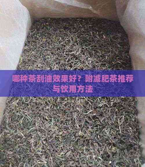 哪種茶刮油效果好？附減肥茶推薦與飲用方法