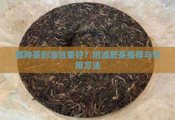哪種茶刮油效果好？附減肥茶推薦與飲用方法