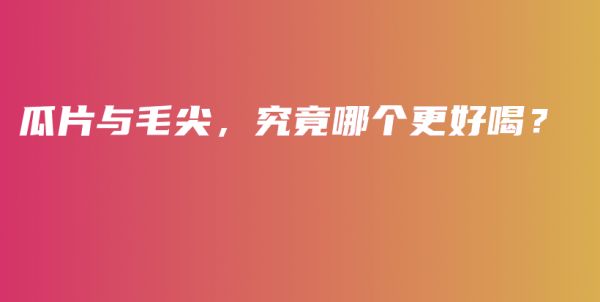 瓜片與毛尖，究竟哪個更好喝？插圖
