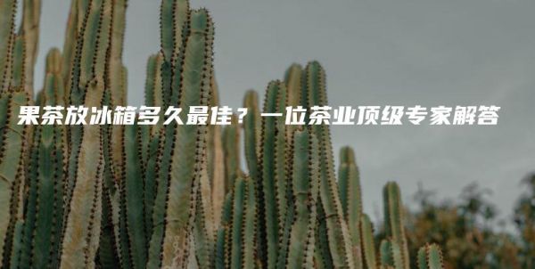 果茶放冰箱多久最佳？一位茶業(yè)頂級(jí)專家解答插圖