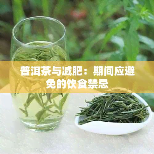普洱茶与减肥:期间应避免的饮食禁忌