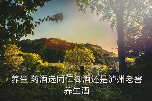  養(yǎng)生 藥酒選同仁御酒還是瀘州老窖 養(yǎng)生酒
