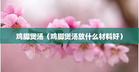 鸡脚煲汤（鸡脚煲汤放什么材料好）