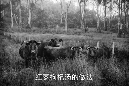紅棗枸杞湯的做法