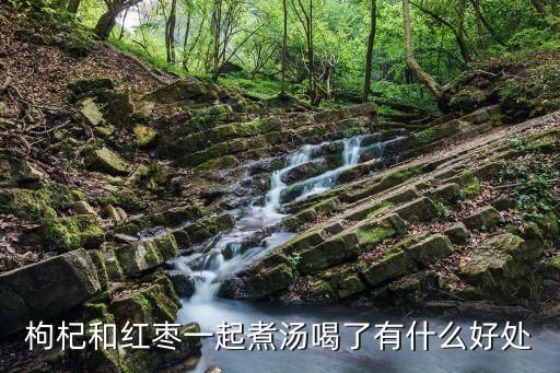 枸杞和紅棗一起煮湯喝了有什么好處