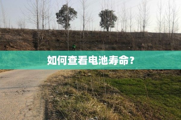 如何查看電池壽命？