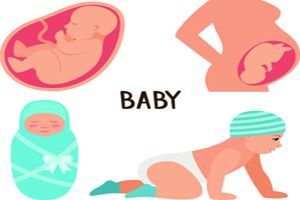 孕妇吃晚餐的最佳时间