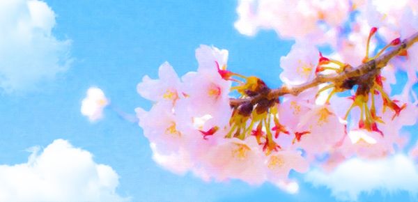抑郁癥的應(yīng)對(duì)技巧：如何通過(guò)藝術(shù)療法來(lái)緩解癥狀