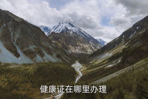 健康證在哪里辦理