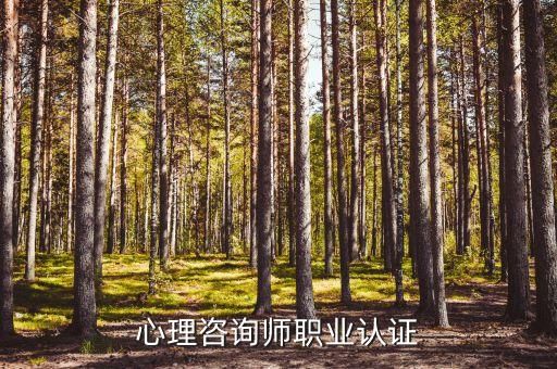心理咨询师职业认证