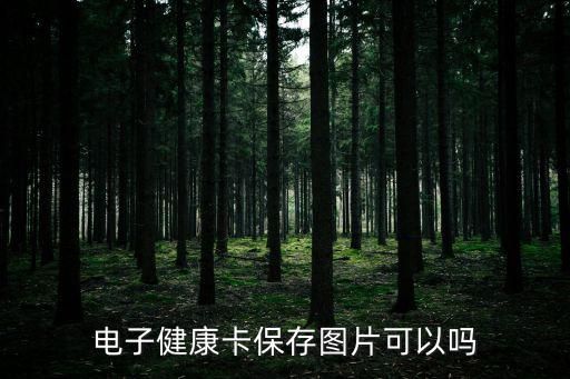 電子健康卡保存圖片可以嗎