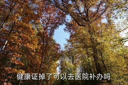 健康證掉了可以去醫(yī)院補辦嗎