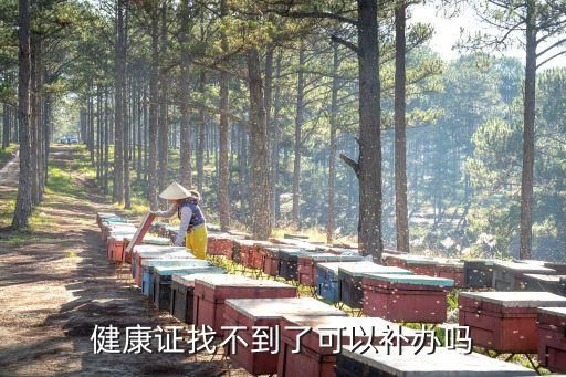 健康證找不到了可以補辦嗎