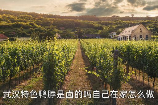 武汉特色鸭脖是卤的吗自己在家怎么做