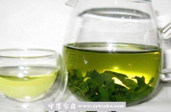 桑葉茶的功效與作用 桑葉茶的禁忌