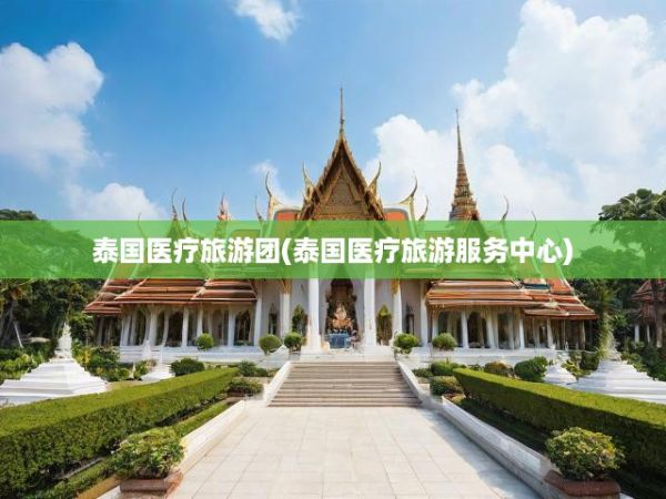 泰國醫(yī)療旅游團(泰國醫(yī)療旅游服務中心)